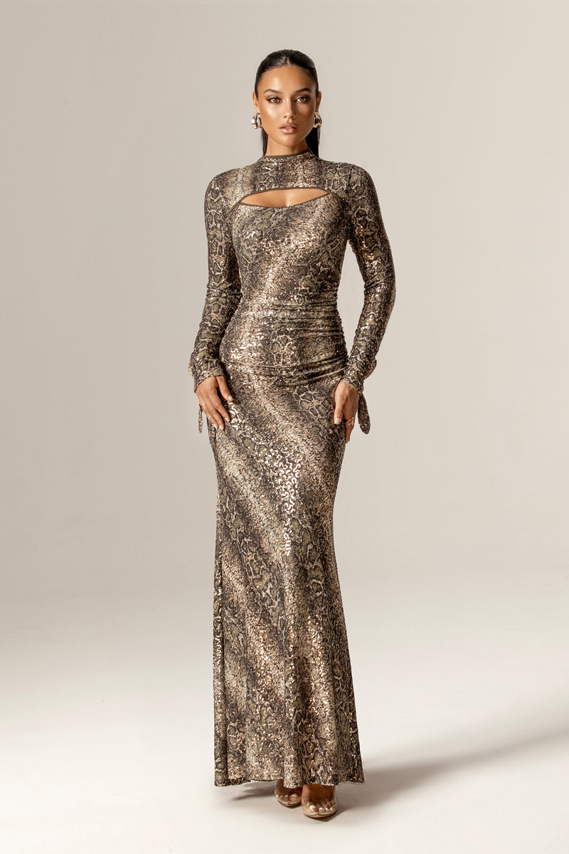 mesh sequin maxi dress Aliava